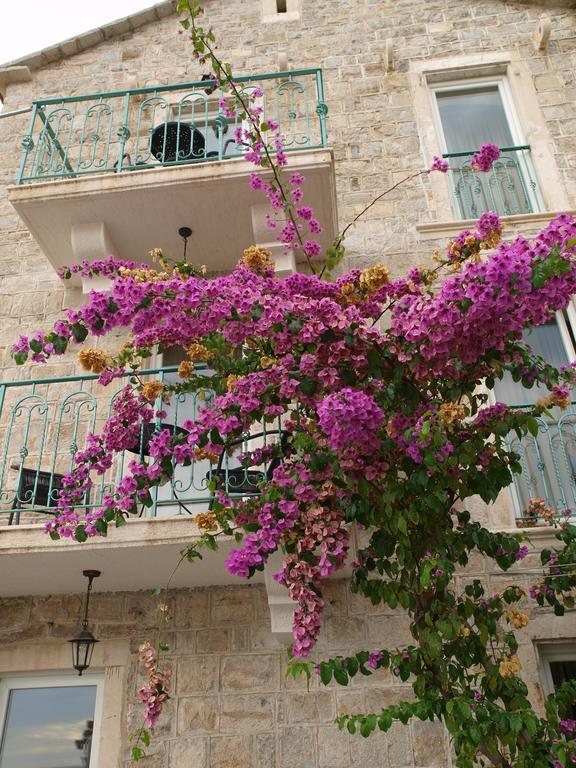 Petrovac Apartments Obala Dragovic מראה חיצוני תמונה